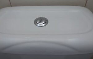 What happens if you push both buttons on a dual flush toilet